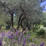 Le Nid Du Rossignol * Nîmes