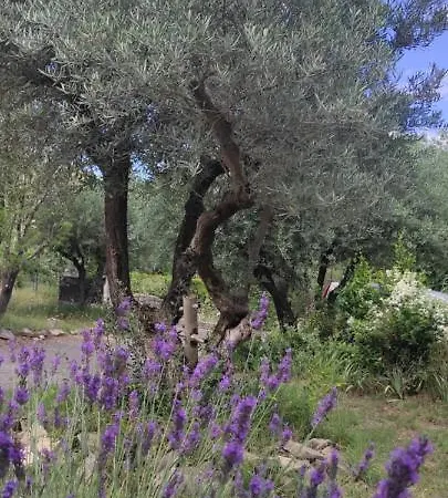 Le Nid Du Rossignol * נים