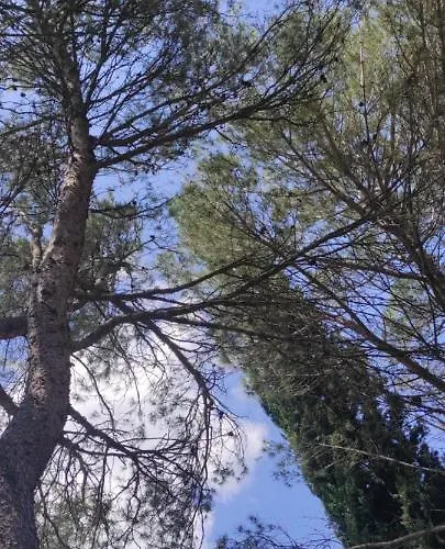 Le Nid Du Rossignol * Nîmes