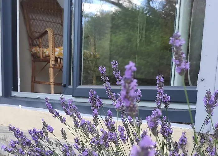 Le Nid Du Rossignol * 님